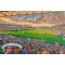 The Stoop Stadium Fine Art Print - Harlequins Rugby Union